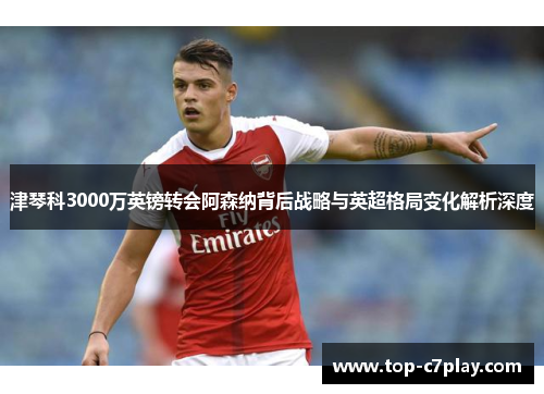 津琴科3000万英镑转会阿森纳背后战略与英超格局变化解析深度 津琴科3000万英镑转会阿森纳背后战略与英超格局变化解析深度